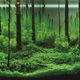 Illustration for article titled These beautiful natural landscapes are actually aquariums